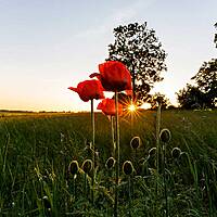 Umgebung - Ostsee Campingplatz Kagelbusch