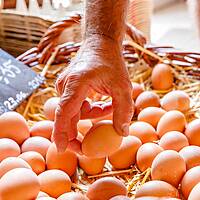Umgebung - Ostsee Campingplatz Kagelbusch