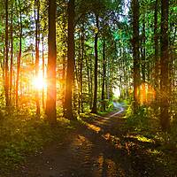 Umgebung - Ostsee Campingplatz Kagelbusch